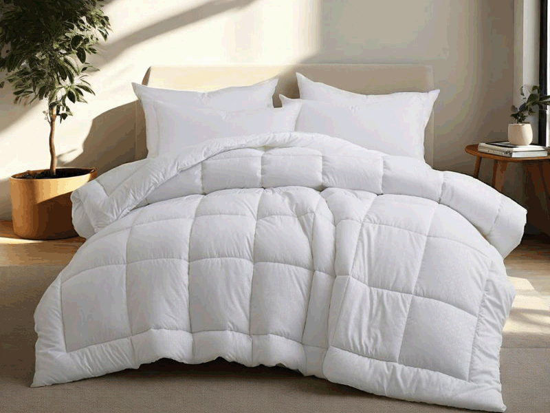 Box Dobby Down Alt Comforters