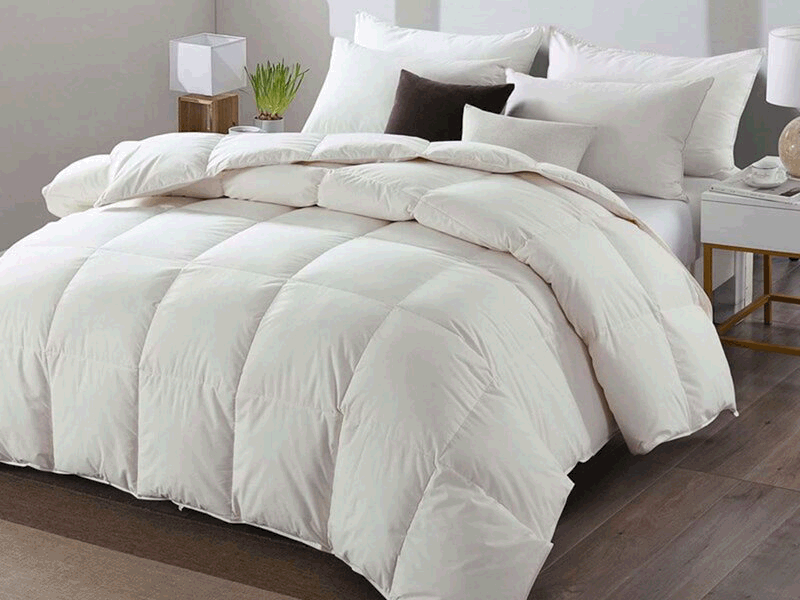 Downpass Rds Down and Feather Duvets