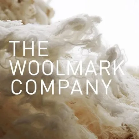 Woolmark Wool Pillows Supplier