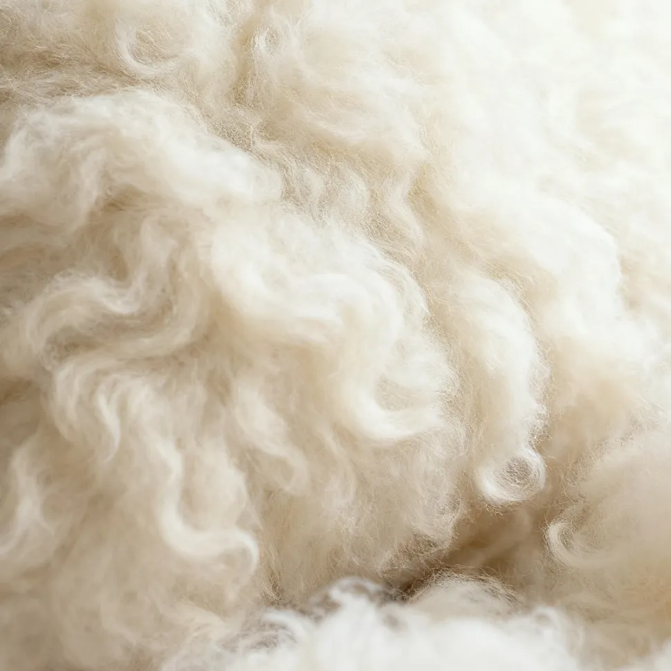 Woolmark Wool Pillows Company