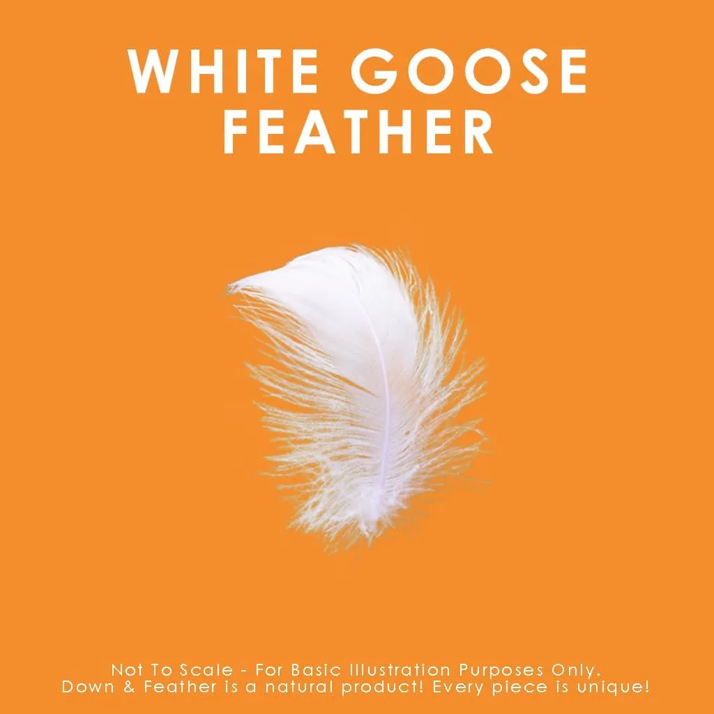 Goose Down and Feather Duvets Exporter
