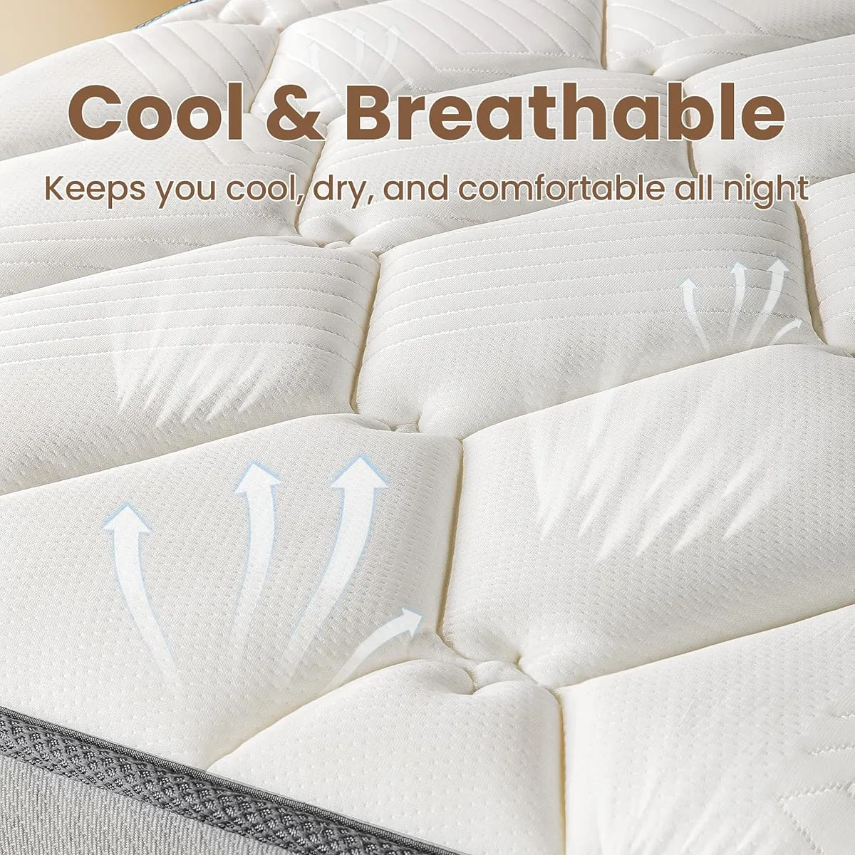 Motion Free Mattress Cover Factory
