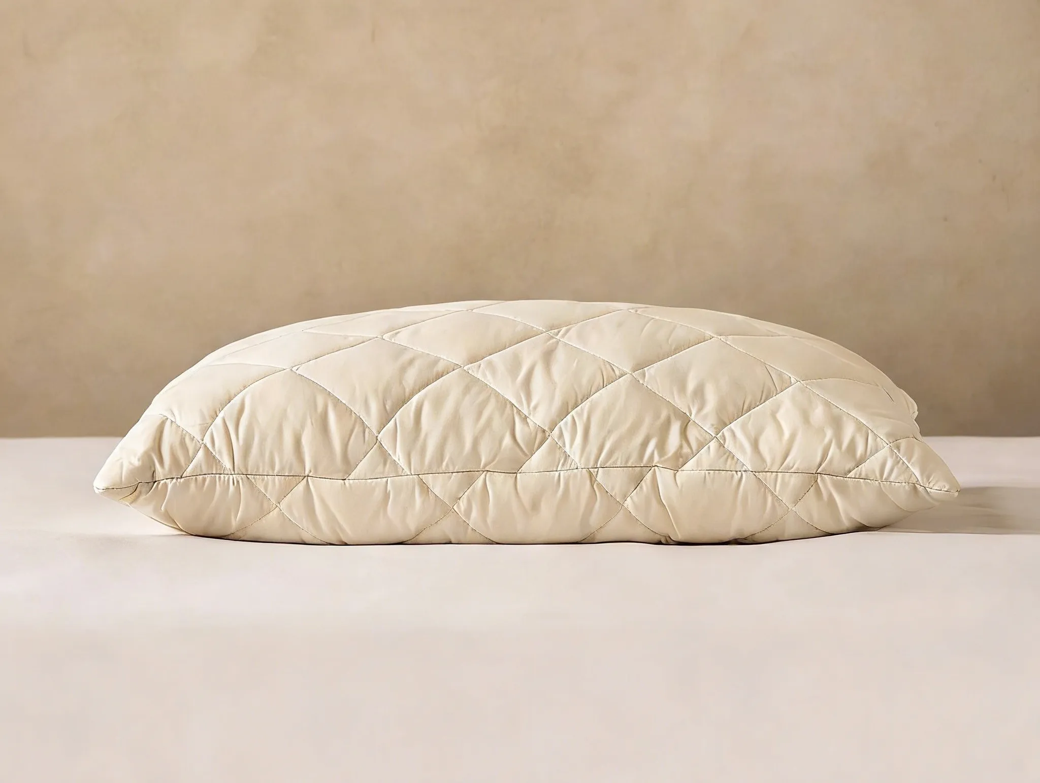 Organic Cotton Wool Pillow