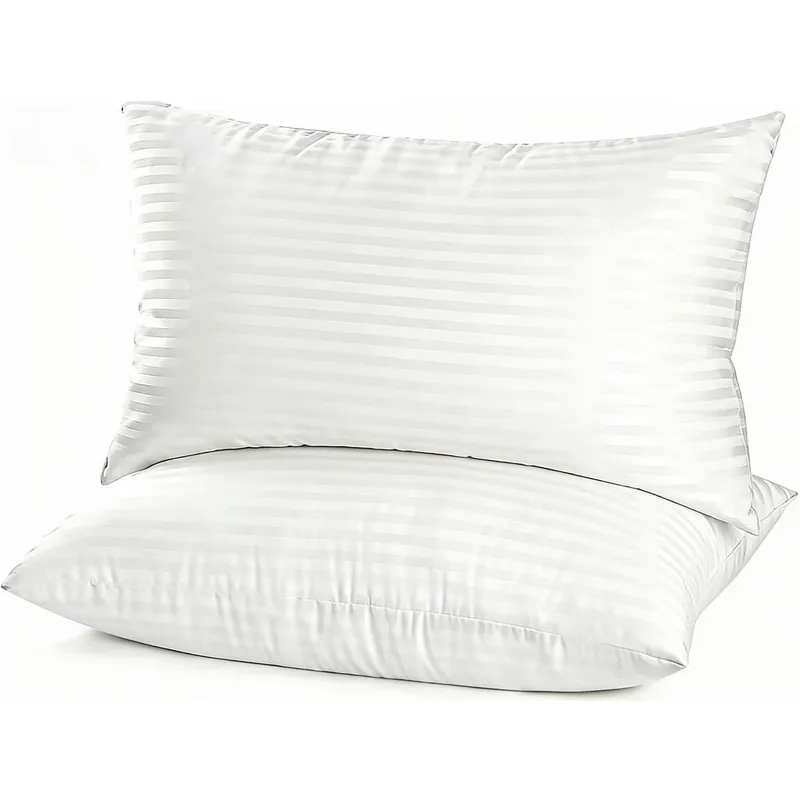 2pk Super Soft Down Alternative Microfiber Filled Pillows