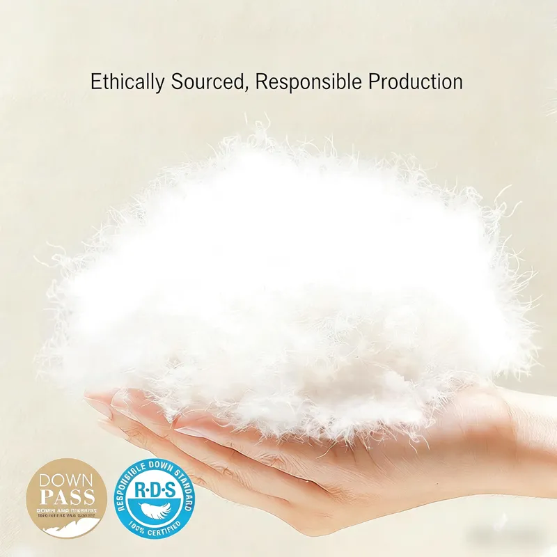 All Season Down And Feather Comforters