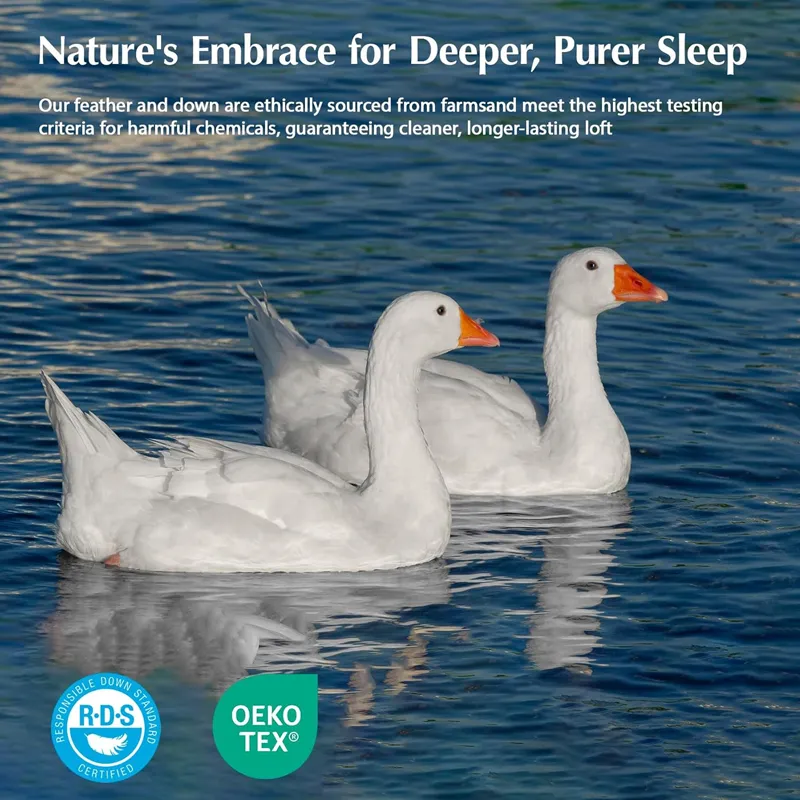 Goose Down Fiber Comforters