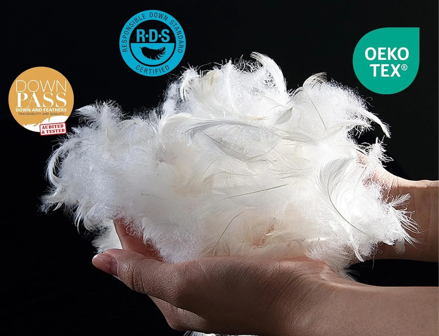 White Duck Down and Feather